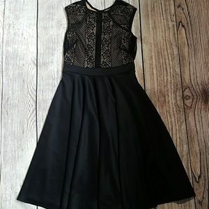 Venus Lace Swing Dress Size S